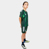Thumbnail for Ksa Kids Kit Home Season 23/24 Designed By Mitani Store , Regular Fit Jersey Short Sleeves And V-Neck Collar In Green Color