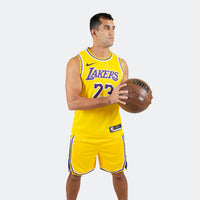 Thumbnail for Maillot Lebron James LA Lakers Swingman