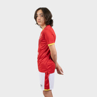 Thumbnail for Kit domicile enfants Al Ahly Sc 20/21