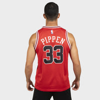 Thumbnail for Bulls Scottie Pipen 33 - Édition Icône