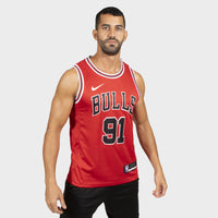 Thumbnail for Bulls Dennis Rodman 91 - Édition Icône