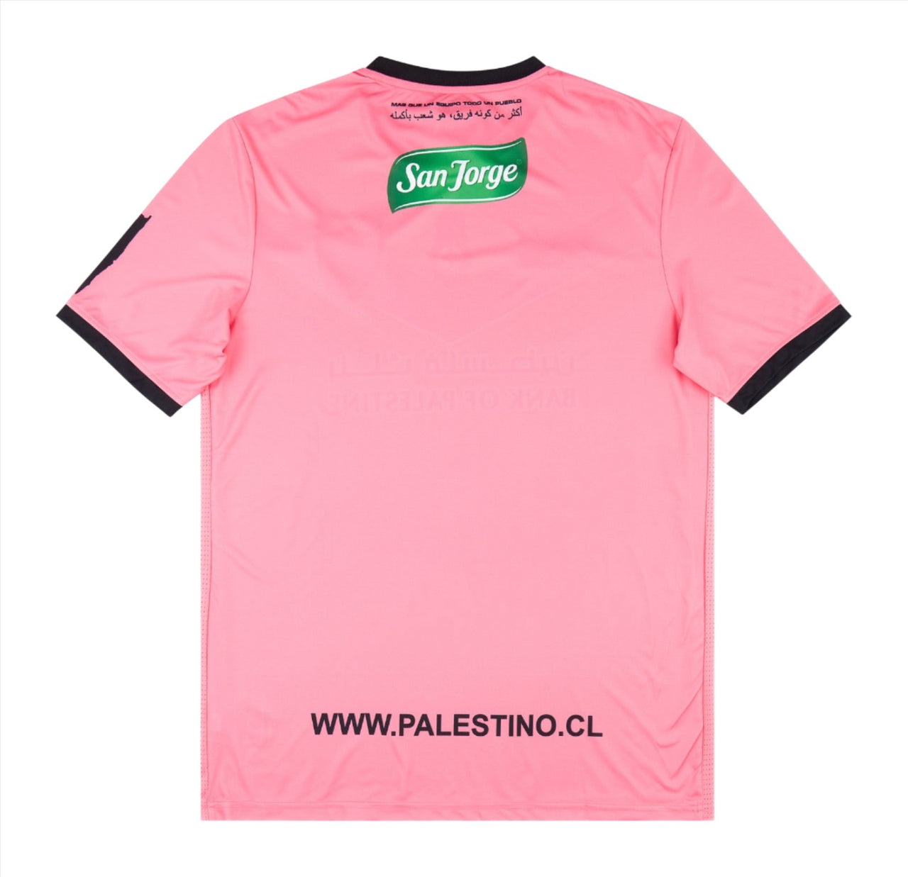 Club Deportivo Palestino Pink